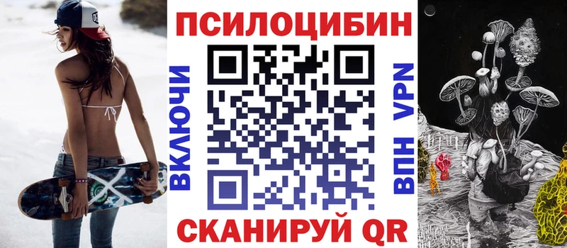 Купить где Волосово Псилоцибиновые грибы прущие грибы